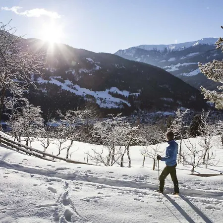 Beautiful In Near Forest Apartment Soll
