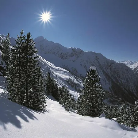 Beautiful In Near Forest Apartment Soll